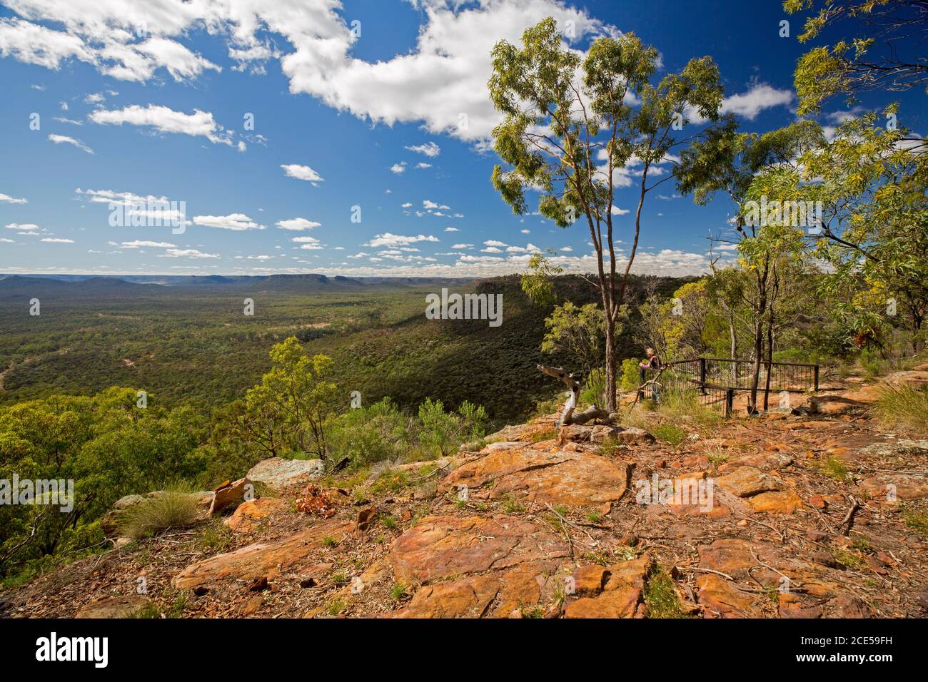 Landschaft von Hügeln und riesigen Eukalyptuswäldern von hoch aus gesehen Aussichtspunkt am südlichen Ende des Arcadia Valley im Zentrum von Queensland Australien Stockfoto