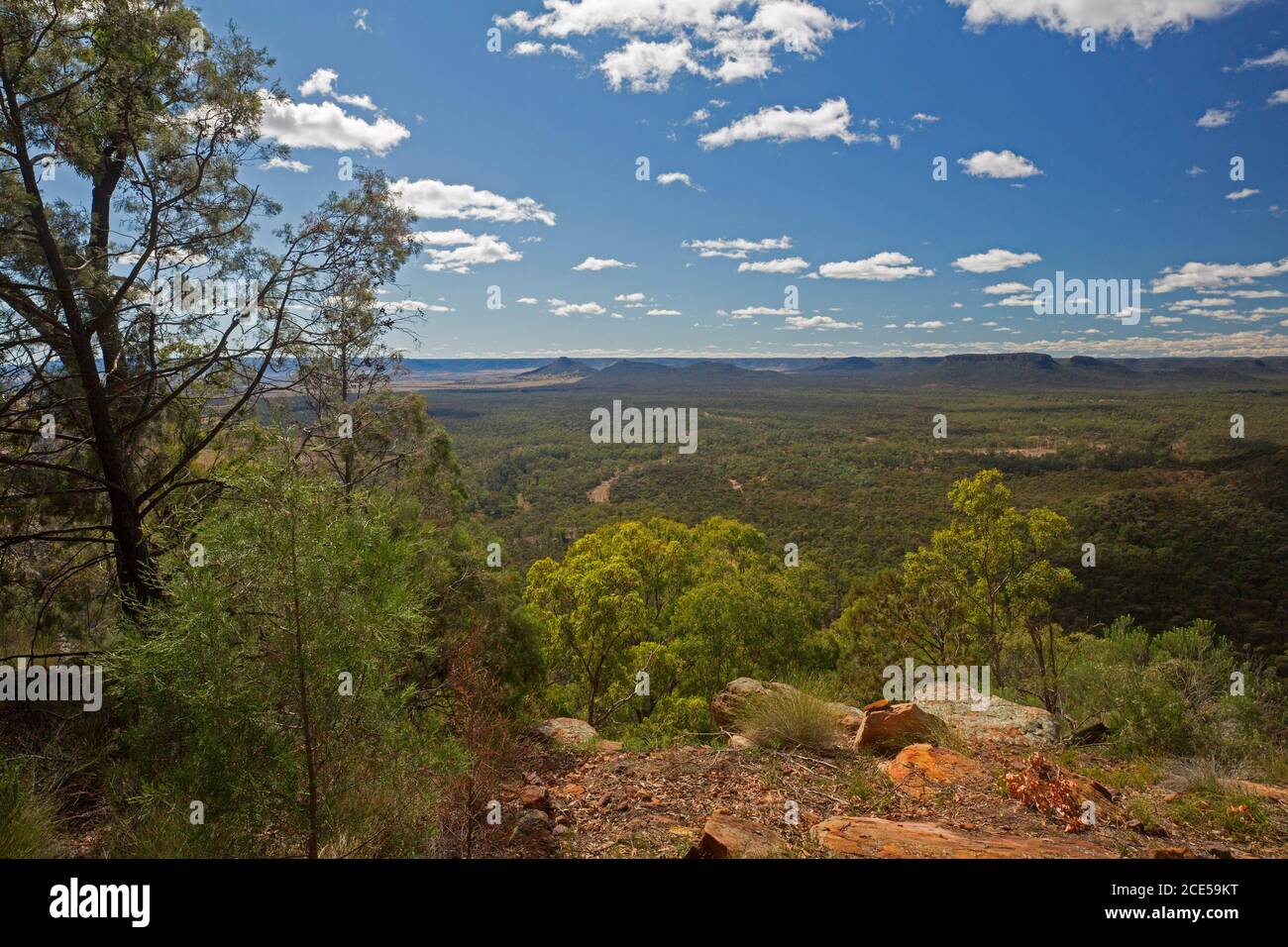 Landschaft von Hügeln und riesigen Eukalyptuswäldern von hoch aus gesehen Aussichtspunkt am südlichen Ende des Arcadia Valley im Zentrum von Queensland Australien Stockfoto