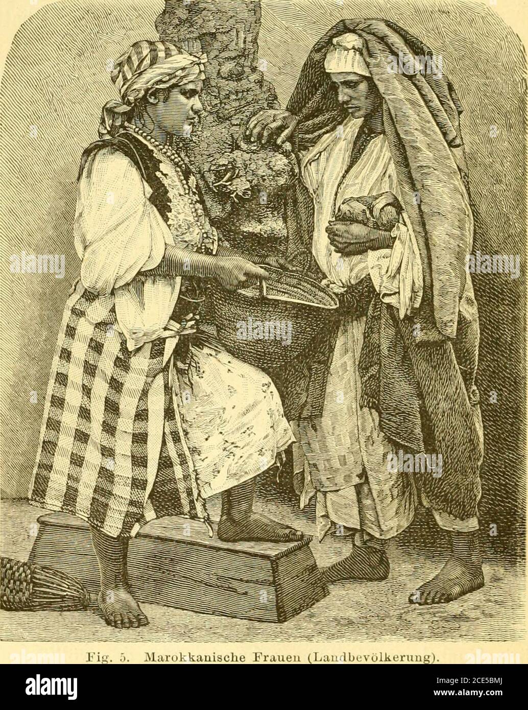 . Timbuktu; Reise durch Marokko, die Sahara und den Sudan, durchgeführt im Auftrag der Afrikanischen Gesellschaft in Deutschland in den Jahren 1879 und 1880 . dem Sandstein ent-springenden Quellen ist etwas eisenhaltig. The Shichtendes Geeins, which dasselbe is, how ich es schon on demWege nach Tetuan sah, ghen also vom Gebel Habibüber Tetuan hinaus bis zur Küste des Mittelmeeres. Vonhier aus ging es bergab in the Thal des Wad Haschüf,Avorauf we on a some wit after suden erstreckende,schöne fruchtbare Hochebene kamen. In the völlig unbe-avocated excellent we plötzly on ei Stockfoto