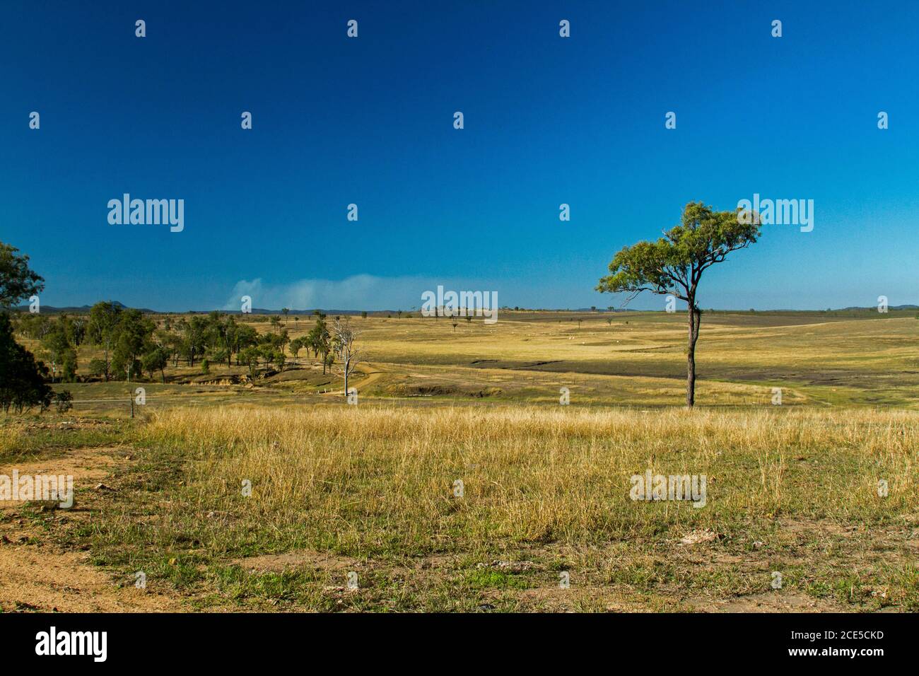 Die karge australische Landschaft mit niedrigen Hügeln und goldenem Grasland Fast von Bäumen gerodet und sich bis zum Horizont ausdehnend und Blauer Himmel Stockfoto