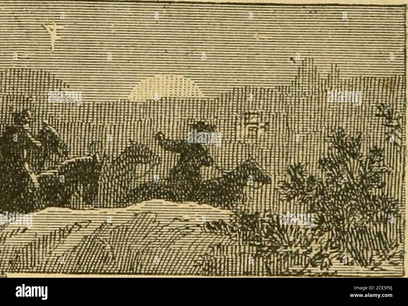. Das Leben von Hon. William F. Cody, bekannt als Buffalo Bill, der berühmte Jäger, Scout und Führer. Eine Autobiographie. Sie hatten behandelt und raubbedmy Familie, wurde ich ein mem-ber von Chandlers company.His Plan war, daß wir unsere Häuser in den Parteien ofnot mehr als zwei oder threetogether lassen sollten und an einem cer-ktain Punkt nahe Westport, Missouri, an einem festen Tag treffen. Hisinstructions wurden zum Brief hinausgeführt, und wir trafen uns zum Rendezvous zur ernennen Zeit. Chandler hatte dort einige Tage vor uns beenthere, und, gründlich verkleidet, hatte um thecountry für das whereaboutsoof all die besten Pferde geschaut. Stockfoto