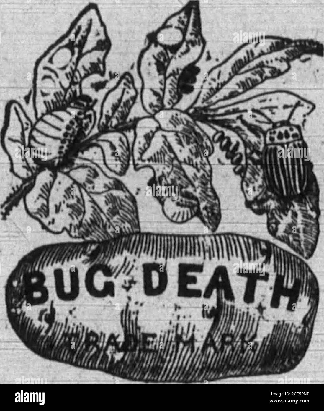 . Boone County Recorder . – ihe mnt sueceseful milchsubstitute« Markt – lh Standard der Perfektion,Tausende von Bauern haved it and nothing elee far year*. Es ist nof a Mock Food - es ist eine com. Pfete Essen thai hat Bohne definitiv bewiesen, das Bast für die Aufzucht Kälber. Garantiert Ergebnisse zu liefern. Ein Versuch bei überzeugenMafV Wir sind Northern Kentucky Agentsfür Rydes Calf Mahlzeit. 3.50 Us-Dollar Für 100 Pfund. Fracht Bezahlt. DR. FRED H. HARRIS, Rlesfrifc Sun, Ind. BESONDERE AUFMERKSAMKEIT GEGEBEN Auge, Ohr, Nase aud Kehle Olassec richtig gerillt. Brandt Herstellung Co. 8PRAYERS die Macher des Beat. Wenn Sie ein gutes wollen, schreiben Sie f Stockfoto