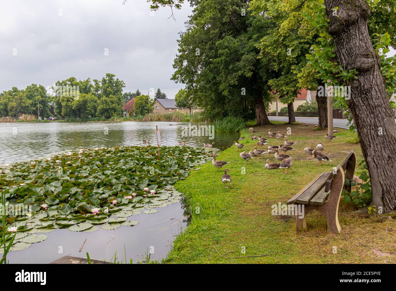 Lake Stockfoto