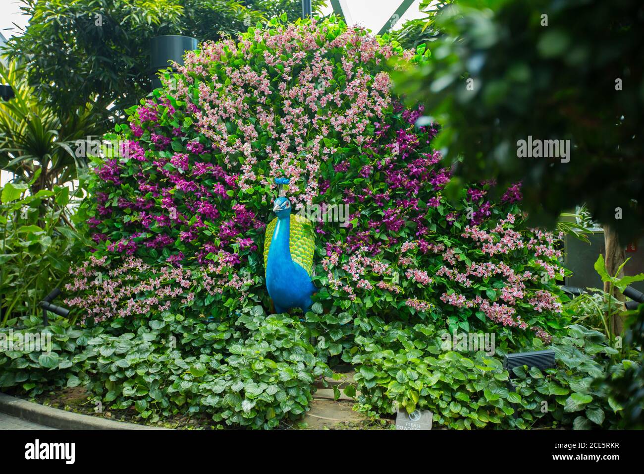Blühende Pfauenkunst im Canopy Park im Jewel Changi Airport, Singapur Stockfoto