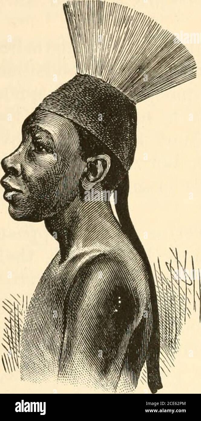 . Im dunkelsten Afrika; oder, die Suche, Rettung und Rückzug von Emin, Gouverneur von Equatoria. In jedem langen Gespräch mit ihnen, unsere Unkenntnis der Sprache, und ihre Erregbarkeit hinderte uns daran, mehr zu tun, als zu beobachten und vertauschen Worte in Bezug auf Frieden und Nahrung mit ihnen. Wir können die Bitof-Schwertklinge als Beweis dafür akzeptieren, dass ihre Nachbarn in der Interii&gt;i-Kontakt mit dem Soudanesen hatten. Weder in den Manieren, customor Kleid gab es einen großen Unterschied zwischen thesenatives und diejenigen, die zu den oberen Teilen des UpperCongo. Ihre Kopfkleider wereof Korb wo Stockfoto