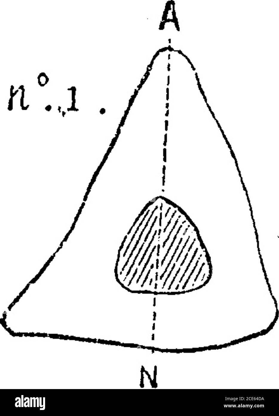 . Anthropologie . und der neue hintere Rand entspricht den obigen Linien der Einfügung der Muskeln. Abbildung 38 zeigt einen Abschnitt der beiden Tibia-Arten. Platycnemia wird hier und da in vielen unserer Gräber bemerkt, aber mit variabler Frequenz. Das erste Mal 300 FSMUB A COLONNE. [Kap. iv. Es wurde beobachtet wurde in der tibias der Familie begraben in Cro-Magnon, in der Antike Steinzeit. Es wurde häufig als existierend in England, sowohl in der Pre-gallic und thePolished Stone Periode dechribiert. In 200 Pariser tibias, die wir aus dem St. Marcel und St. Germain-des-Prés Friedhöfe gesammelt Stockfoto
