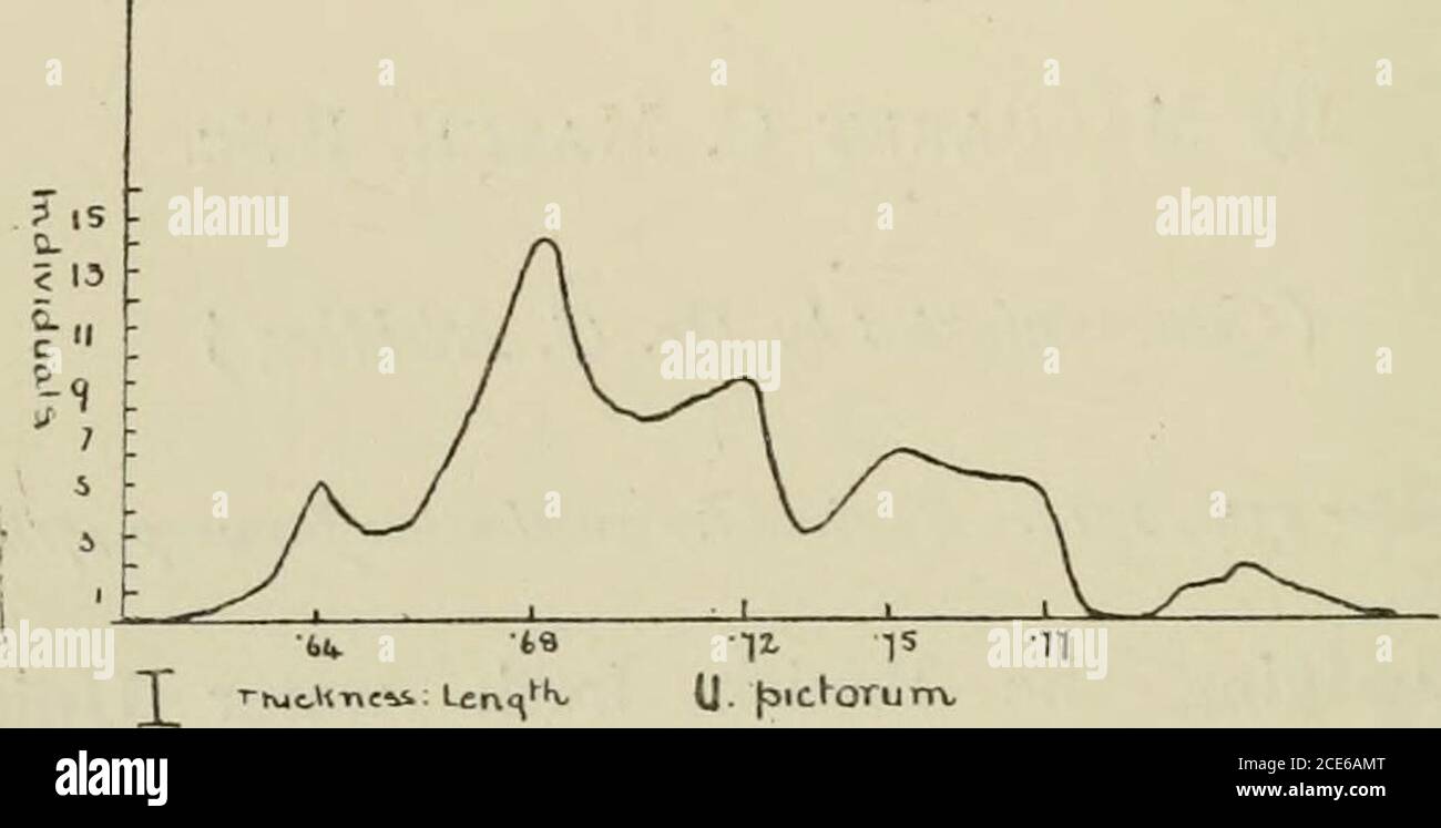. Memoiren und Proceedings of the Manchester Literary & Philosophical Society . aus den Sammlungen von Mr. Standen, dem letzten Mr. R. D. Darbishire, Mr. J. W. Jackson, und die Concho-Logical Society wurde es offensichtlich, dass es zwei Arten von Shell, die erste stout und schwer mit relativelylong dorso-ventral und lateral Achsen und kurze antero-posterior Achse. {Abb.- A der Platte.) Die andere Form war das Gegenteil davon. Ein weiterer Hinweis auf die Existenz solcher Formen wurde durch Variationskurven gewonnen, die eine antero-posterioror laterale Achse in Bezug auf die dorso-ventrale, althoughthe numbe Stockfoto