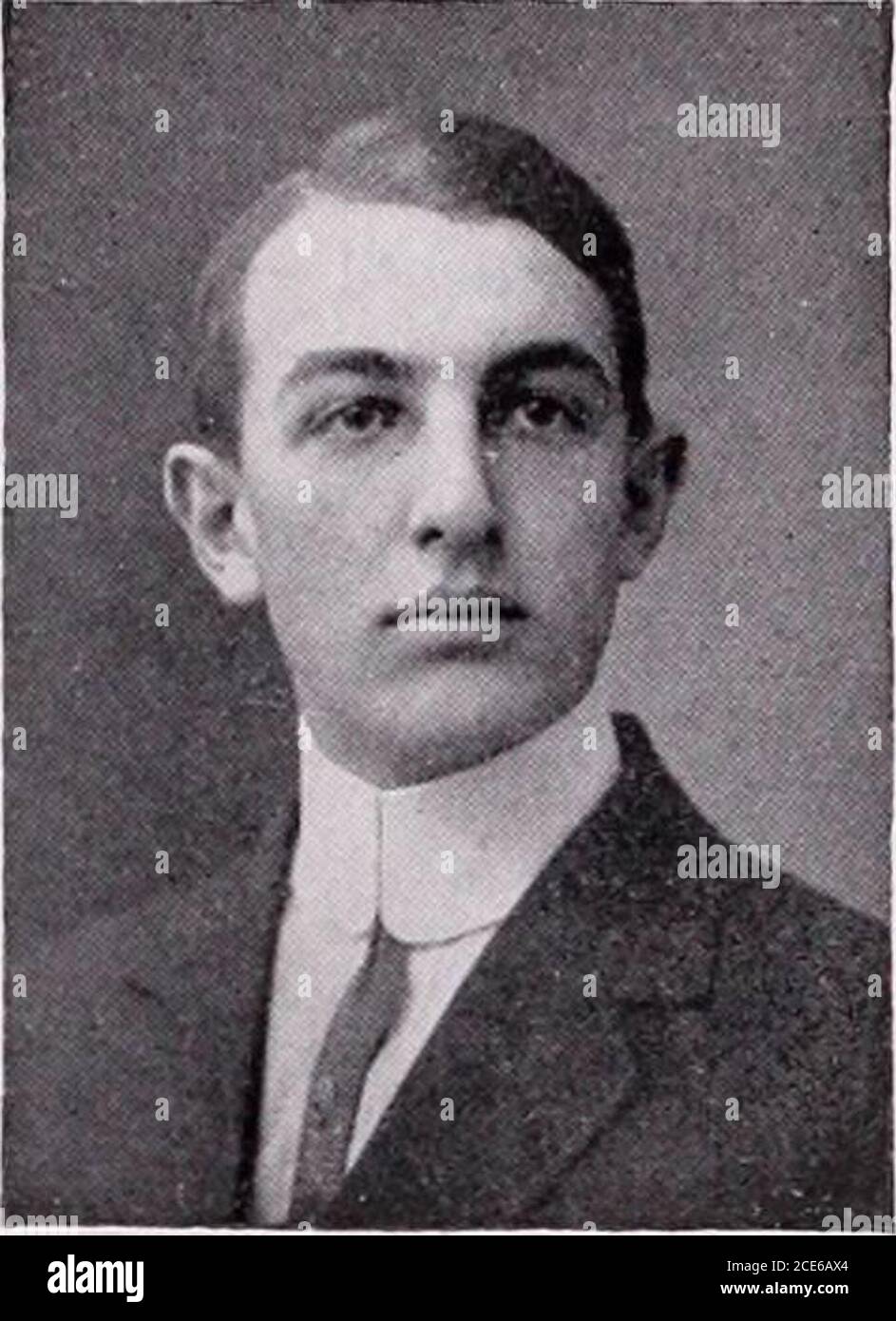 Graues bartlett Fotos und Bildmaterial in hoher Auflösung Alamy