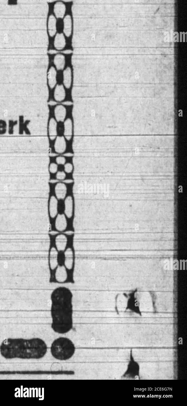 . Boone County Recorder . 100 Feetof Seil, Fanning Mill, Lot von Cornin Krippe, Lot von Hay in Scheune, über^-toiis-of Stroh, 125 Bus. Of Hafer. Auch Haushalt und Küche Möbel, bestehend aus Klappbett, Kommode, Waschtisch, Davenport, 2 Walnut Bettsteads, Federn und Mattessen, 3 Federbetten, 3 Auto-Haustiere und 50 Yards matting, Ex. Bereich und Utensilien, Ölherd, viel Linoleum, viel Dishes, 30-gal Eisenkessel, viel Meat und Schmalz, 9 doz. Hühner,auch der Bube, Mike, bekannt als der James A. Huey Jack, und verschiedene andere^articVes. Tkkms – Beträge von 5.00 US-Dollar und nicht-der, c Stockfoto