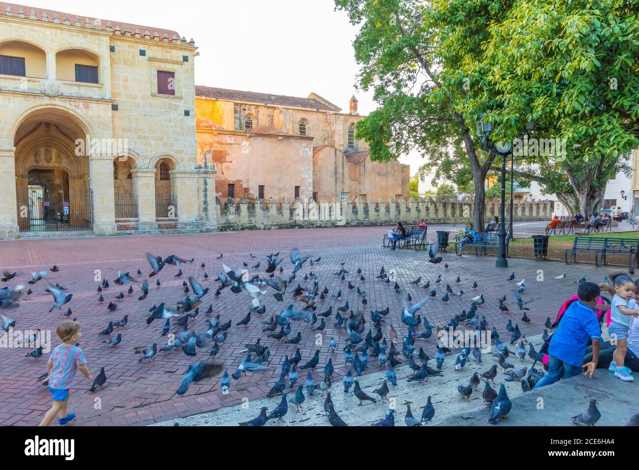 Vögel fliegen im Park. Stockfoto