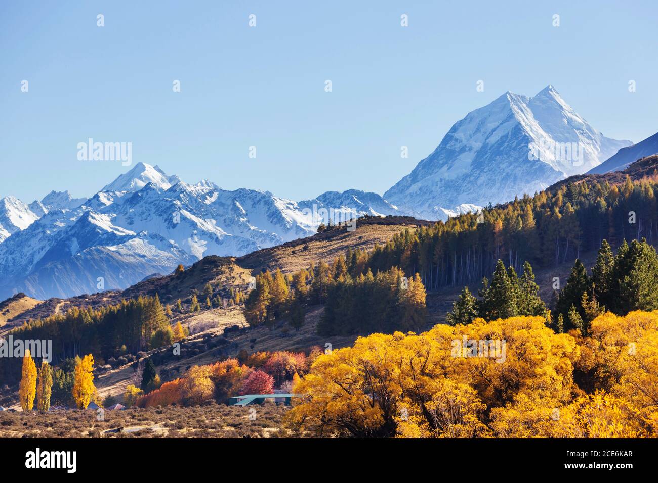 Herbst in Neuseeland Stockfoto