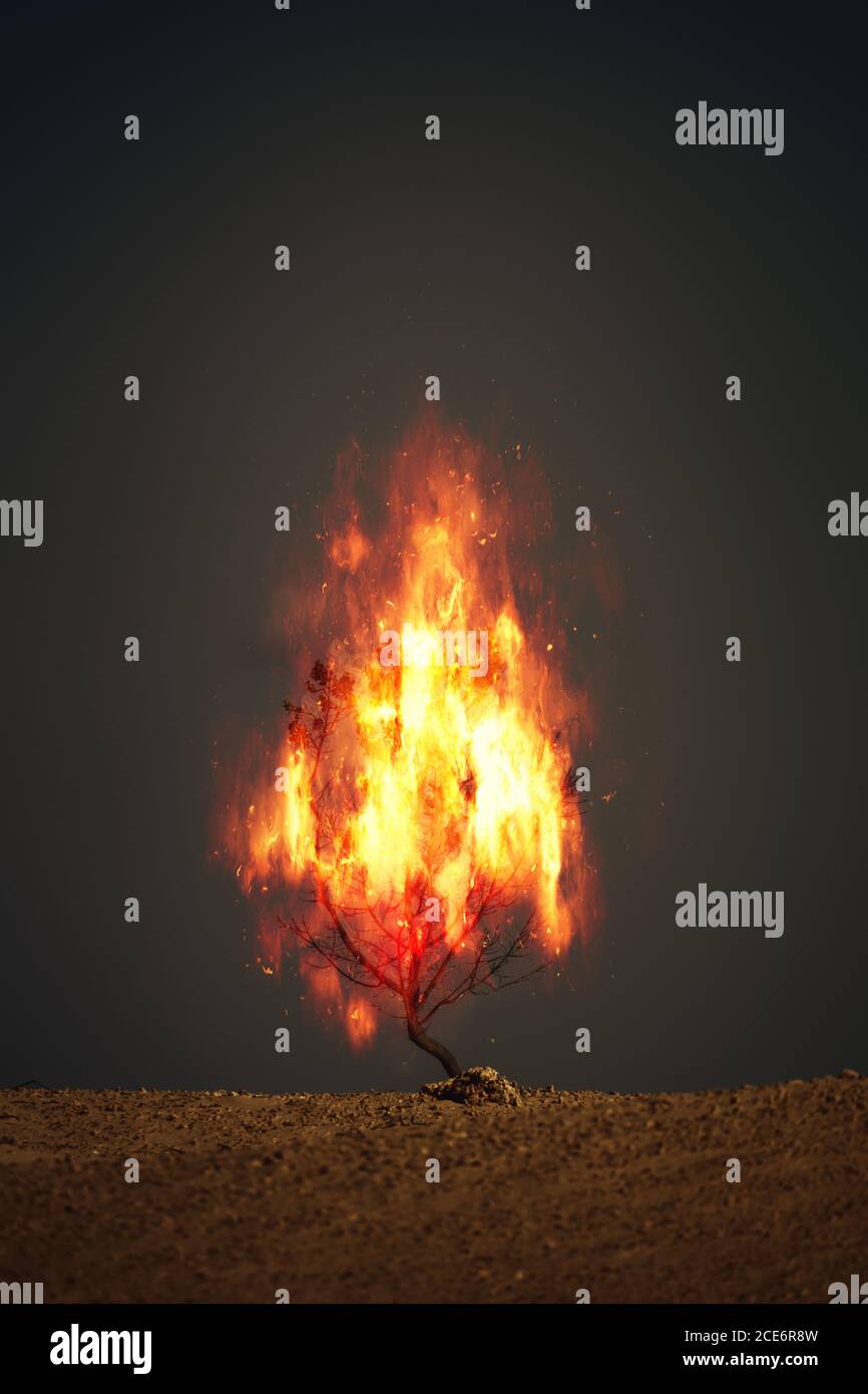 Brennender Dornbusch christliches Symbol Stockfotografie - Alamy