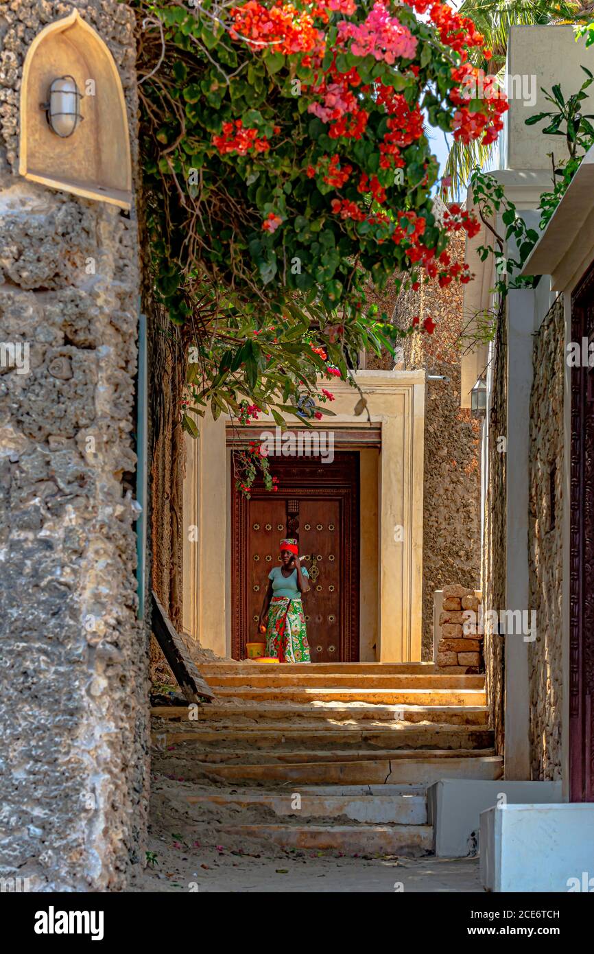 Eine Gasse mit der Tür im Hintergrund Stockfoto