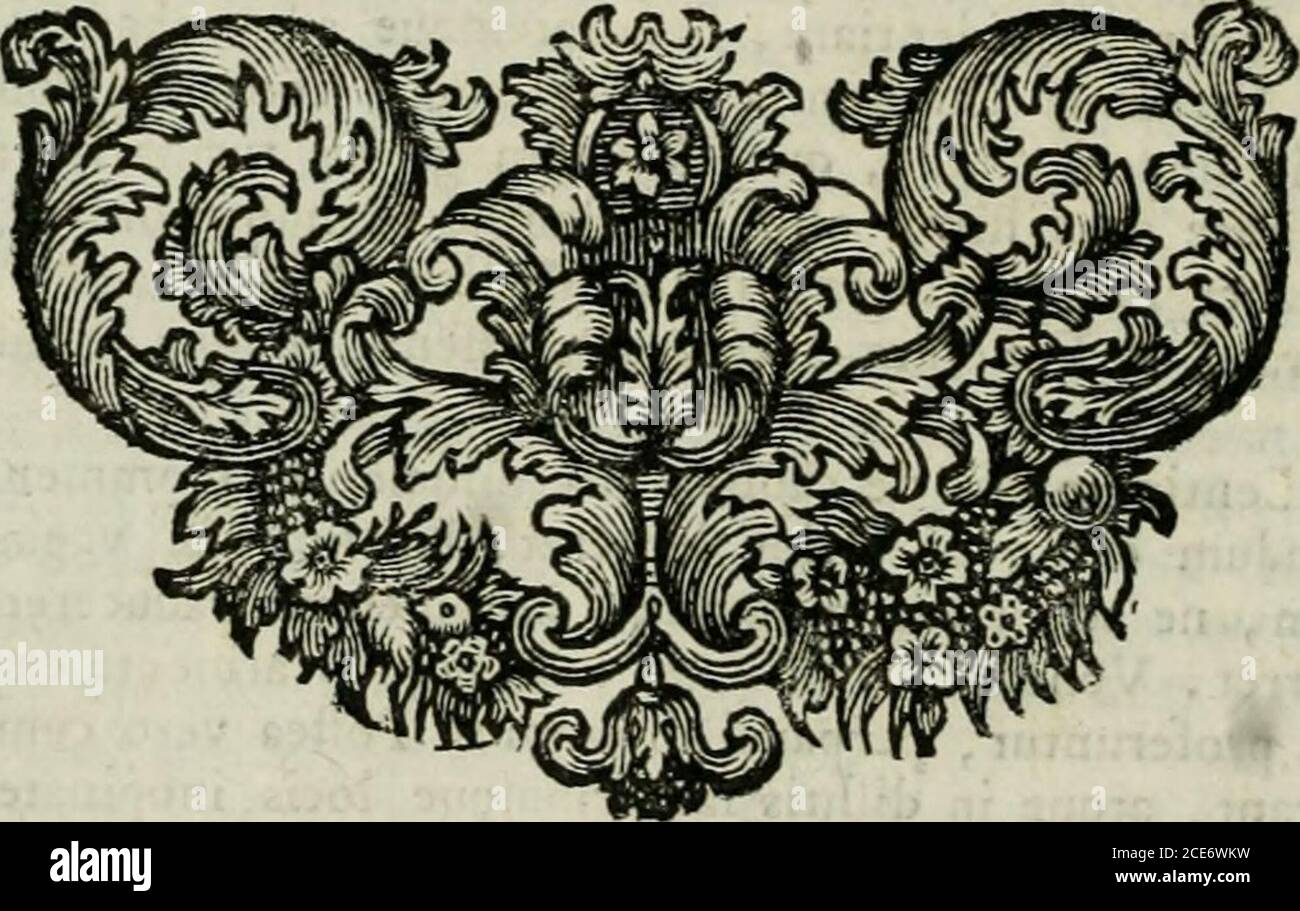 . Opera varia in unum congesta : et in duos tomos distributa .. . difti» domi , lapientifllmeque ef-feciftis, ut ea exequi nemo negaret foris. Qnz res plane fingelaris, & admiranda non tam rc-£ta Judicum Confilia , Adminiftrorum vigilantiam , docilitatem plebis , quam clementiam , &liberalitatem Principis feveritate conjun6tam oftendit ; Utrumque enim totis viribus agendumcft celerrime : Nolentes cogere, impotfubles. Atque Ego has Litteras, Vir AmplifTime , tumultuario ad Te ftylo dedi 5 neque ordincincmfervavi fcribendo diverfum ab eo, quem extemporahs habere folet oratio. Neque etiam L Stockfoto