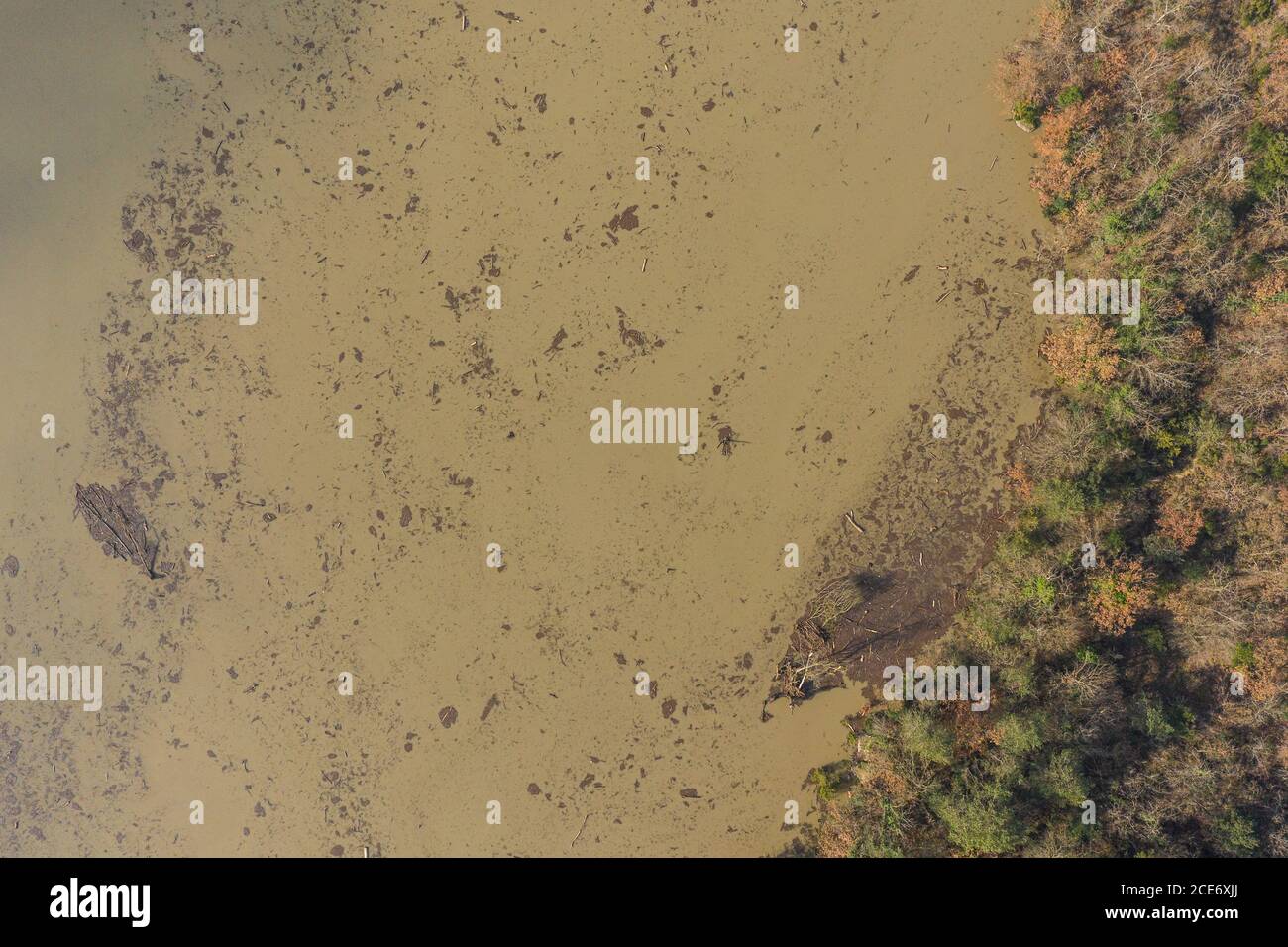Nach dem Sturm Gloria in Les Guilleries-Savassona, Spanien Stockfoto