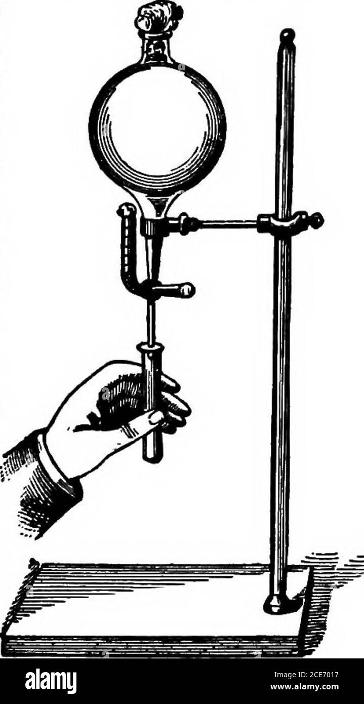 . Ein Laborführer in der Bakteriologie, für den Einsatz von Schülern, Lehrern und Praktikern . Methode wird verwendet, muss der Filter immer zuerst in heißem Wasser getränkt werden, oder besser, in Dampf gehalten, bis verwendet. VORBEREITUNG DER NÄHRMEDIEN 19 die gefilterte Flüssigkeit wird in einem kleineren Trichter gesammelt (Abb.- S&gt; 0- EIN Drahtkorb sollte so abgestützt werden, dass er in einem Winkel von etwa 45 Grad geneigt ist, um die richtige Anordnung der Rohre zu ermöglichen. Entfernen Sie den Stopfen eines Saugrohrs, und führen Sie Letzteres über die gesamte Länge der Pipette schnell durch (Abb. 5, /), die nicht weniger als 3 Zoll lang sein sollte. Den Pinch-coc öffnen Stockfoto