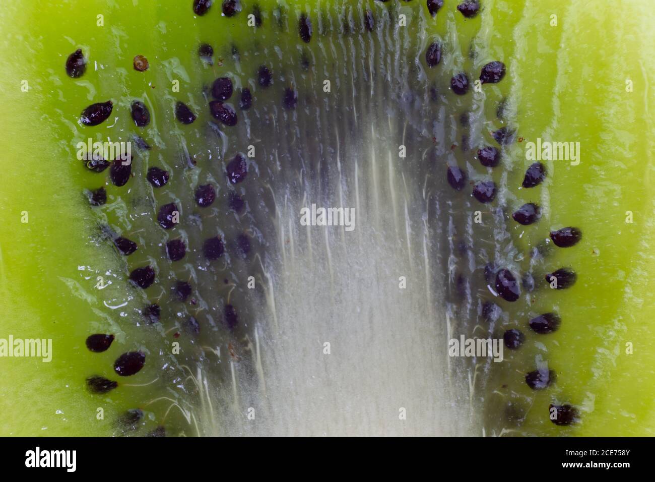 Scheibe Kiwi-Frucht auf Vollformat. Vertikales Format Stockfoto