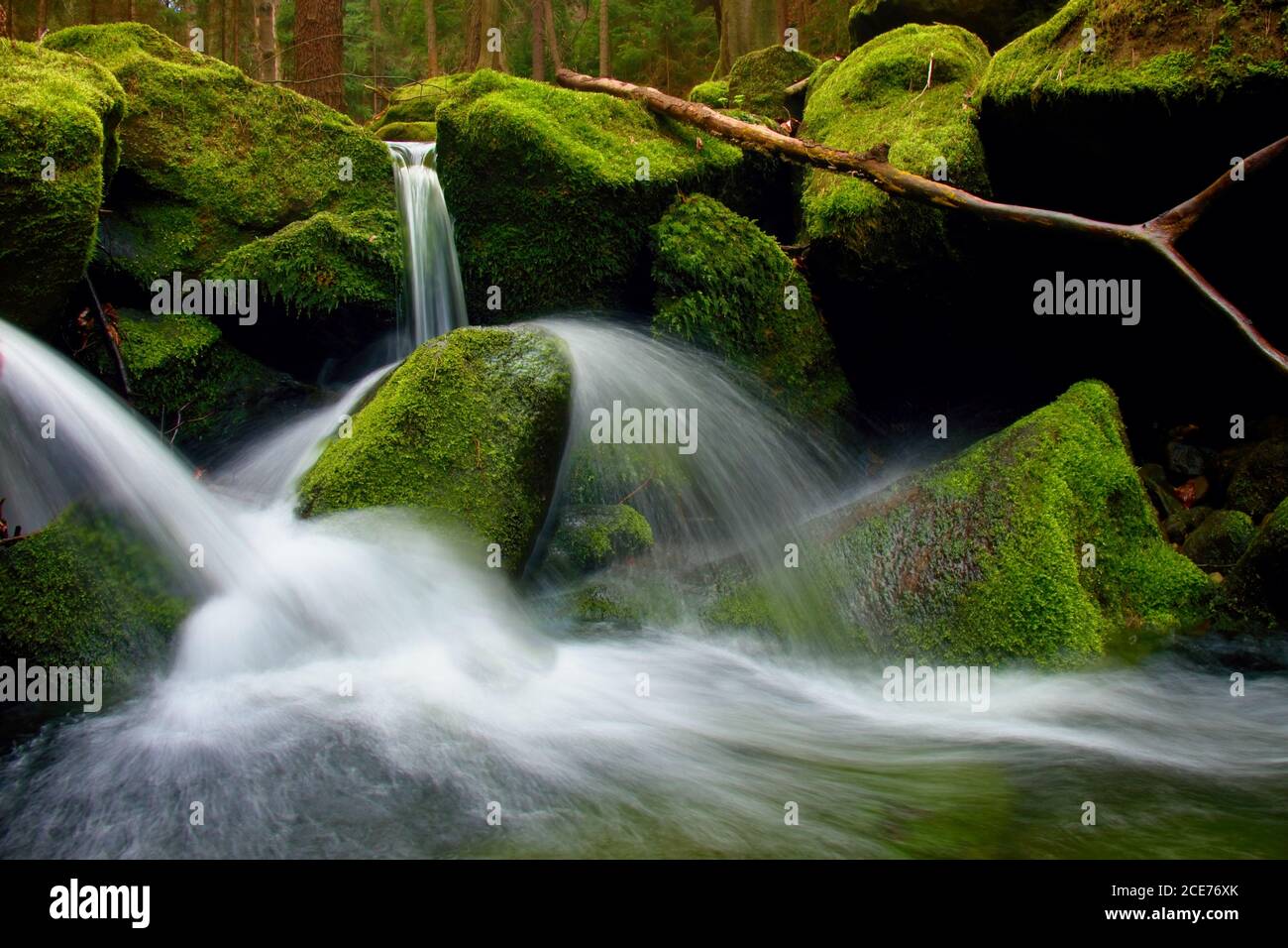 Wildbach, Bergbach mit moosigen Steinen, harten Felsen und gefallenen Baum. Stockfoto