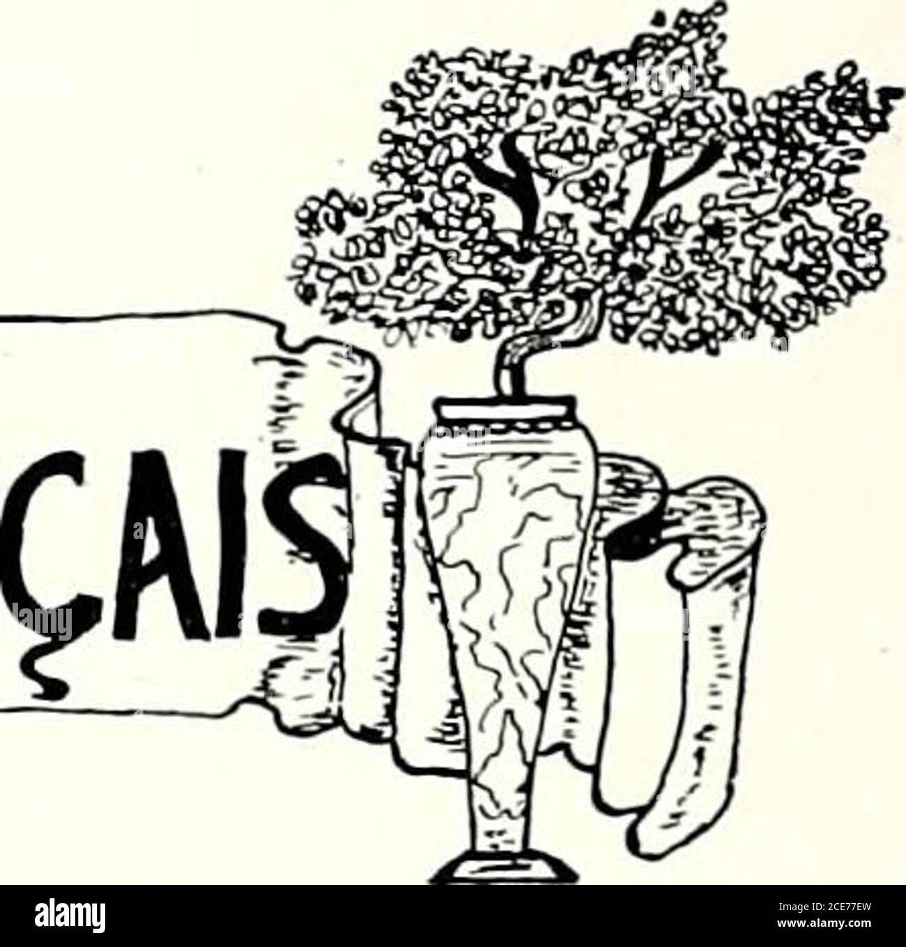 . Virginian LECEffCLEFffAWfM. Viertes JahrBüro:rs Ruth Draper Presidente Eleanor Grealhead ICE-presidente Erna Shotwell Secretaire Bernice Johnson Tresorieriere Harriet Judson Rapportuese OFFICERS Mary Bolton Mary Forbes Katharine Tucker Ernestine Gilliam Bernice Johnson Rebecca Motlev Helen Roberts Virginia Lindsey Viola McNamee Lillian Pool Edna Harriza Codock et Judner Anderson Marie Bristol Mary Guthrie Virginia Sizemore Edna Blanton Helen Swoope Martha Guthrie Addie Noel Amanda Myers Nettie McNulty Pattie Jeter Lucile Upton Virginia Stockfoto