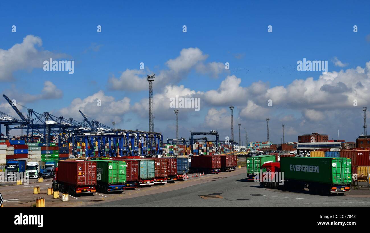 Container auf Lastkraftwagen in Felixstowe Port, Suffolk, Großbritannien Stockfoto