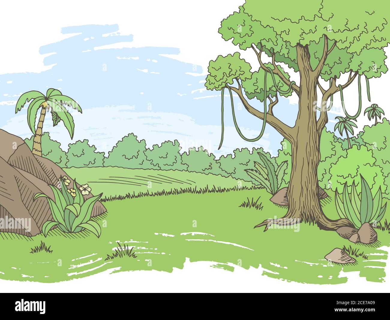Dschungel Wald Grafik Farbe Landschaft Skizze Illustration Vektor Stock Vektor