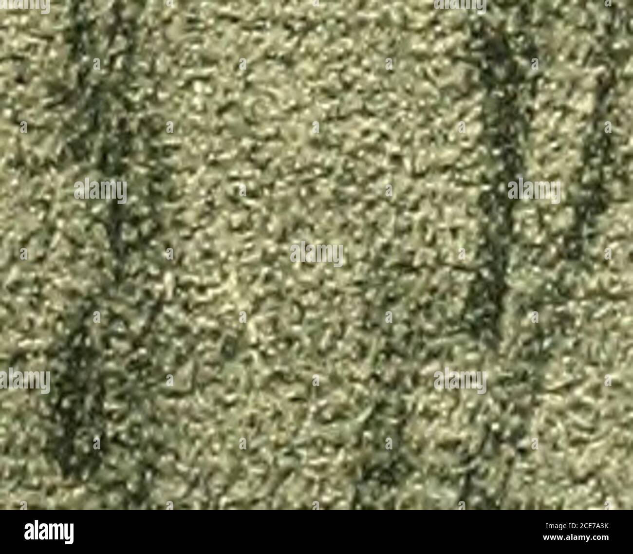 . Aus dem Goethe-National-Museum . ^•-•^*&?>-?rr. Stockfoto