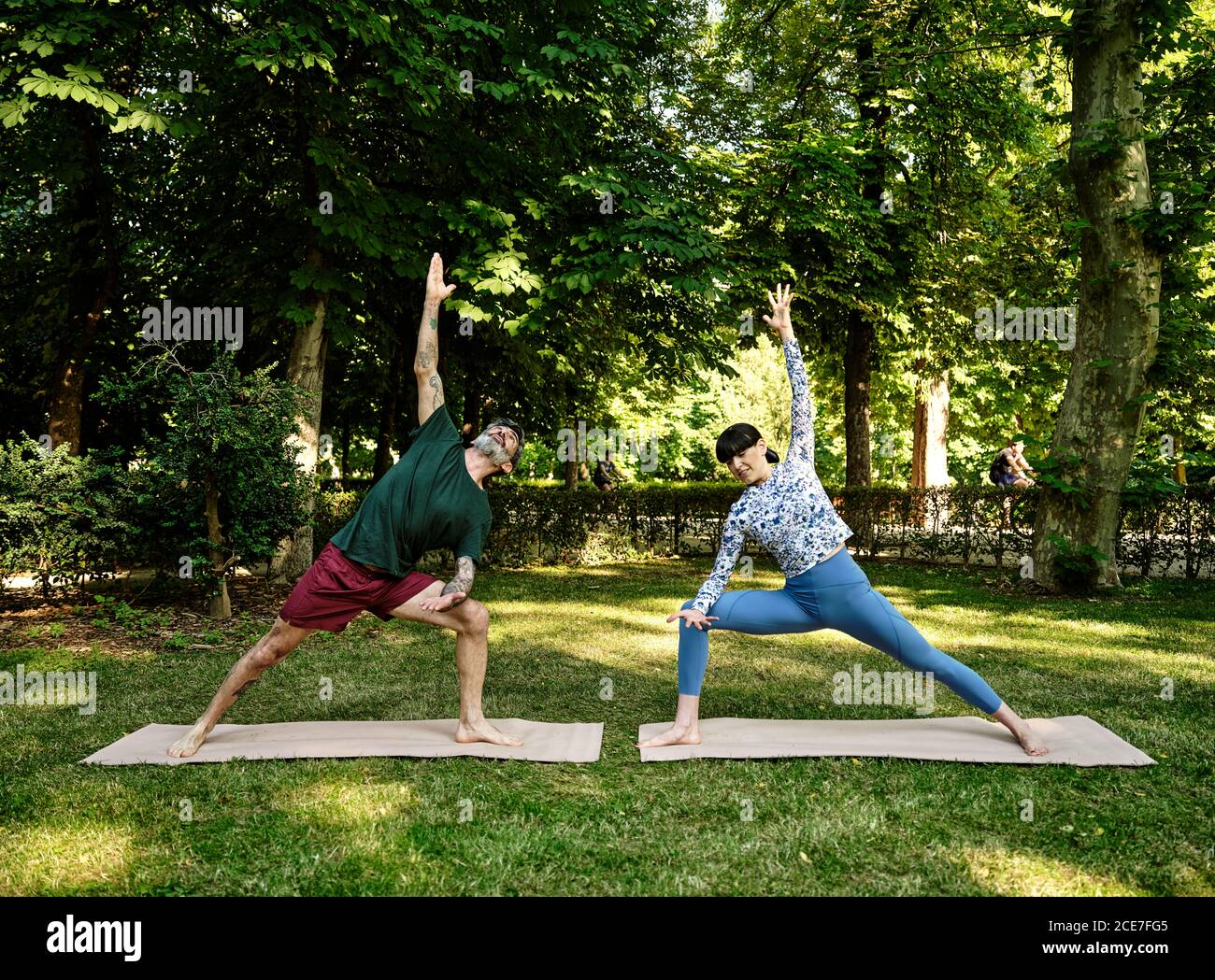 Konzentriertes Paar, das auf Matten in Parsva Virabhadrasana mit angehoben steht Arme und Yoga im Park Stockfoto
