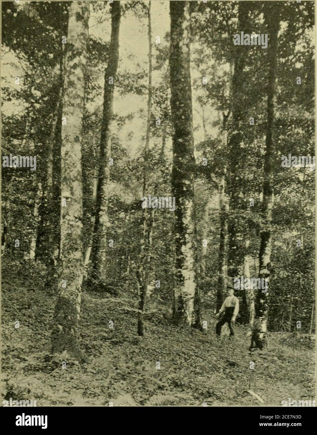 Kladde Stockfotos Und Bilder Kaufen Alamy Everything in here has a. kladde stockfotos und bilder kaufen