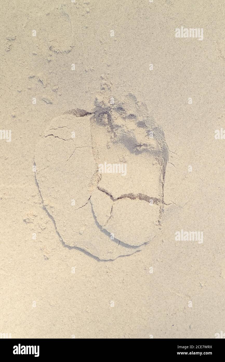 Blick von oben auf die Spur der Person an der sandigen Küste in Sommer Stockfoto
