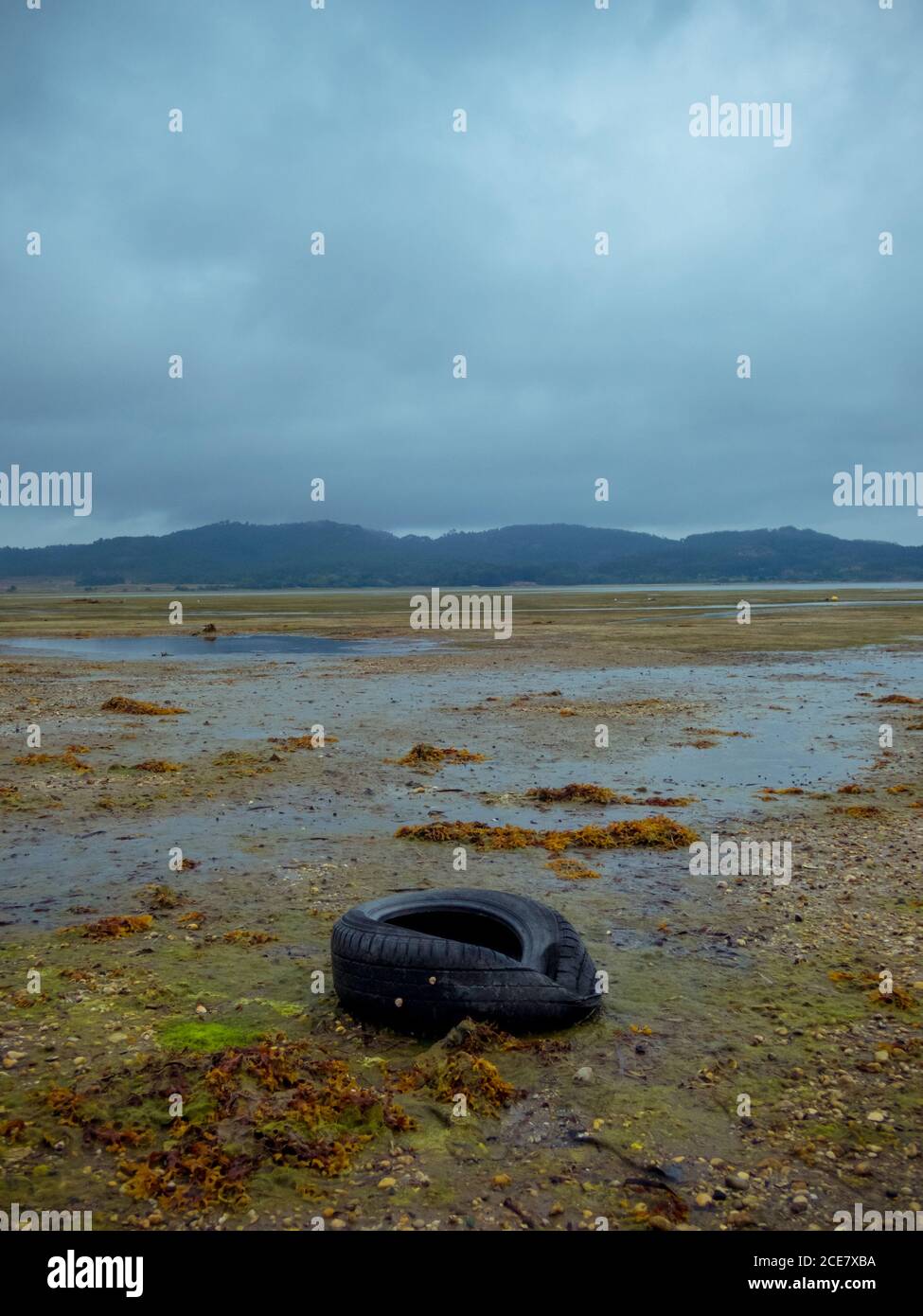 Alte beschädigte Autoreifen auf nassem Gelände in der Nähe des Flussausflusses Mit Grat weit weg unter bewölktem Himmel bei Tageslicht Stockfoto