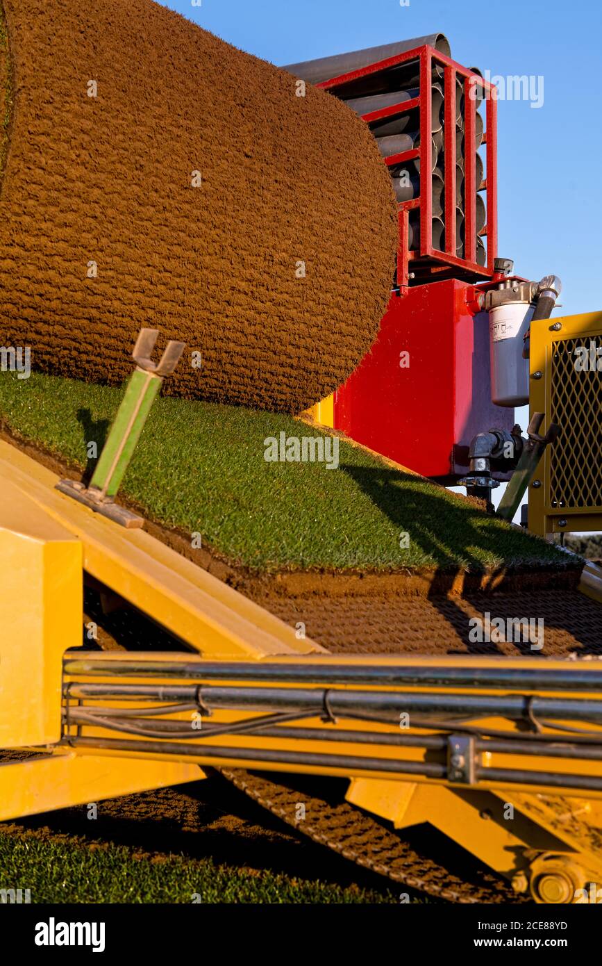 Detail der schweren Maschine mit Kunstrasen auf dem Feld platziert An sonnigen Tag Stockfoto