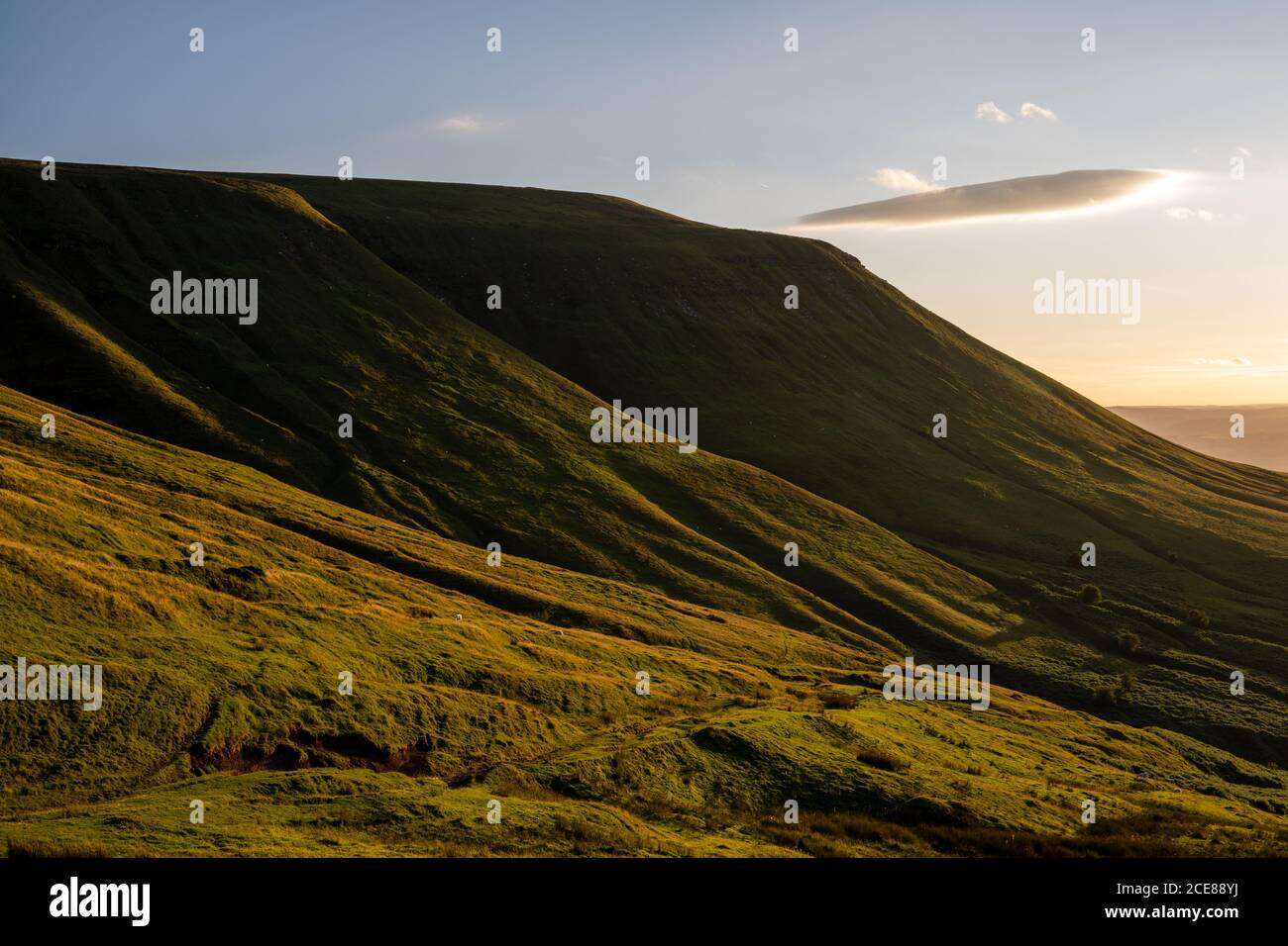 Schafe weiden in der Abendsonne an den Hängen des Twmpa-Berges, oder Lord Hereford's Knob, in den Black Mountains von Wales. Stockfoto