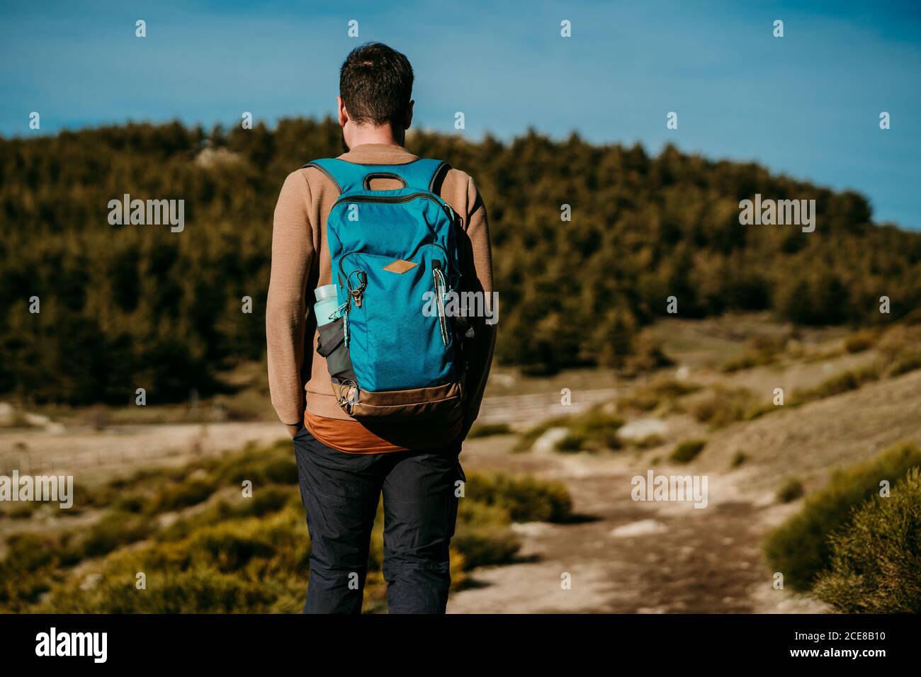 Rückansicht eines anonymen Mannes mit Rucksack, der die Hände in den Rucksack hält Taschen und stehen auf dem Weg in der Nähe von Wald in Puerto de la Morcuera Berge an sonnigen Tag in Spanien Stockfoto