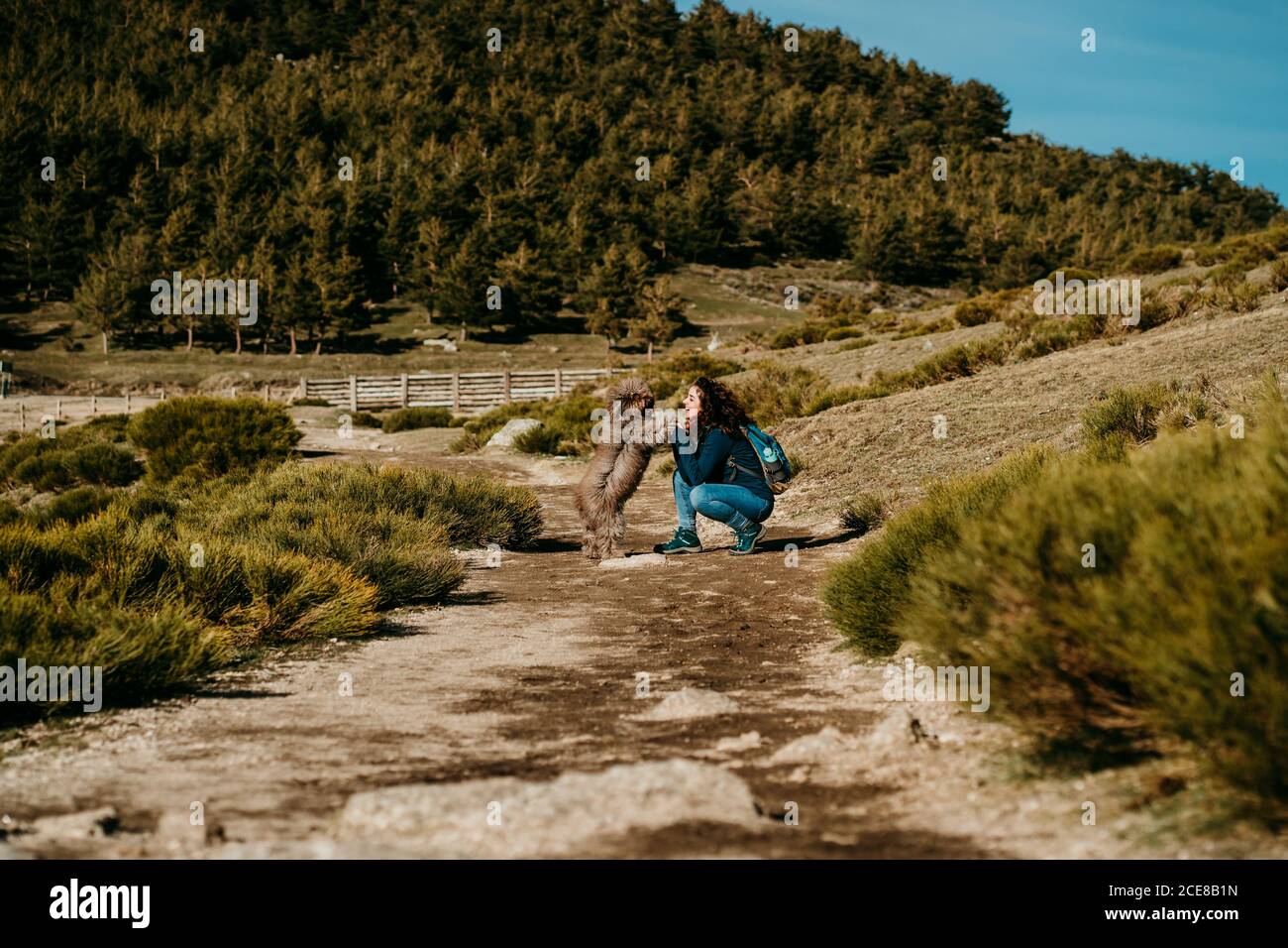 Seitenansicht einer glücklichen lächelnden Frau mit flauschigen Labradoodle Beim Wandern entlang Weg an sonnigen Tag in Puerto de la Morcuera Berge in Spanien Stockfoto