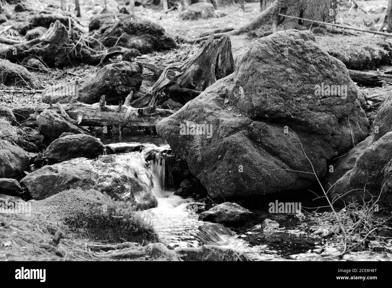 Schwarz-Weiß-Porträt des Wasserfalls im Wald Stockfoto