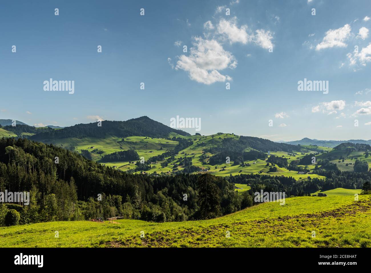 Landschaft im Appenzellerland mit grünen Weiden, Kanton Appenzell Innerrhoden, Schweiz Stockfoto