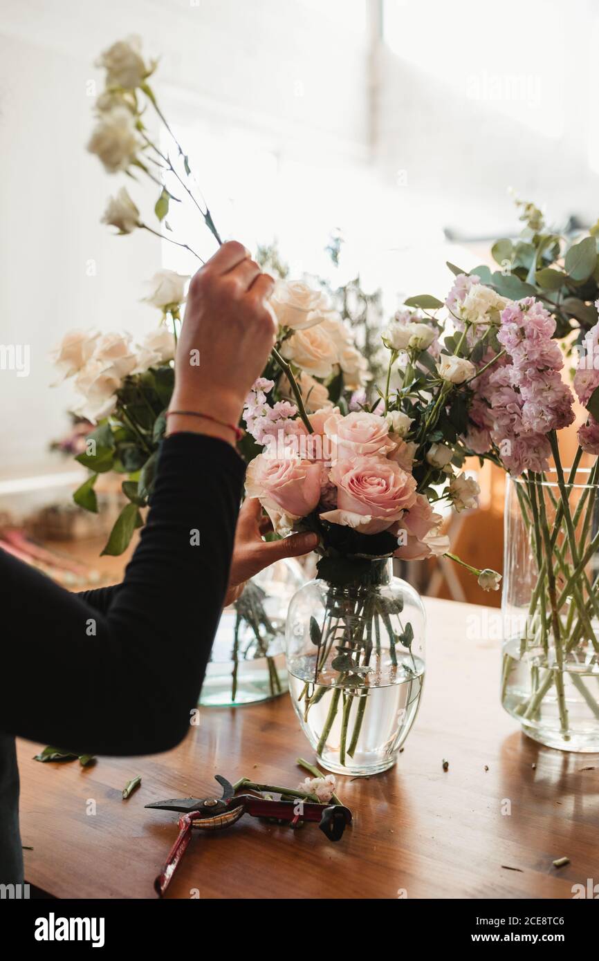 Crop Ansicht der Ernte unkenntlich weibliche Floristin hält schöne sanft Rosafarbene Rosen beim Stehen an der Theke mit Glasvase gefüllt Mit Wasser während der Arbeit in Floristik Salon Stockfoto