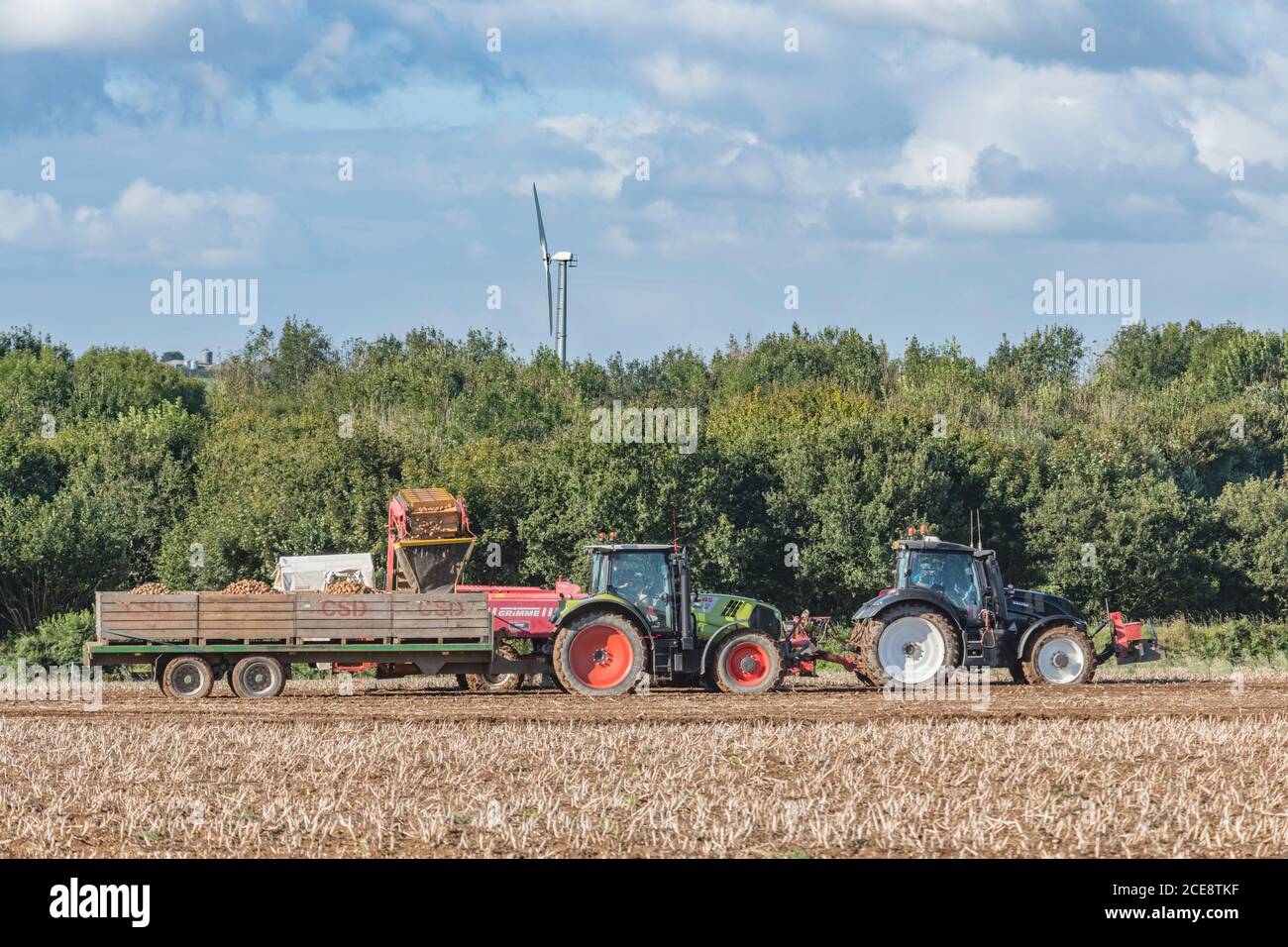2020 UK Kartoffelernte mit Grimme Kartoffelerntemaschine gezogen von Valtra Traktor & Anhänger gezogen von Claas Arion 640 Traktor. Britische Lebensmittelerzeuger. Stockfoto