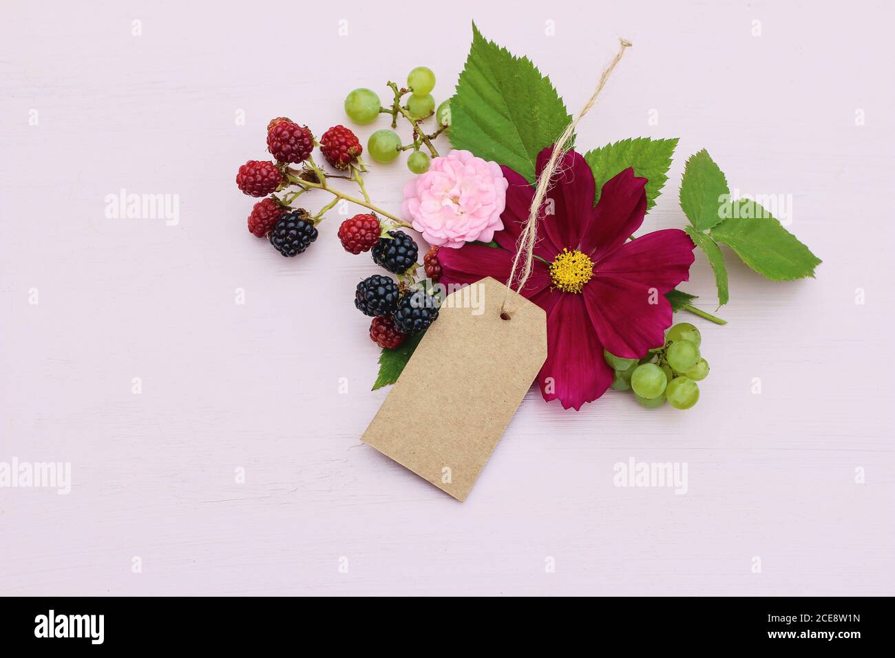 Herbst Blumen und Frucht Stillleben Zusammensetzung. Nahaufnahme eines leeren Geschenkanhängers, Etikettenmock-up-Szene. Brombeeren, Trauben, Rose und Kosmos Blumen auf rosa Stockfoto