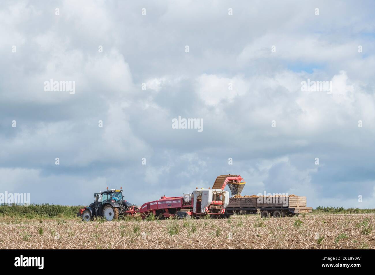 2020 UK Kartoffelernte mit Grimme Kartoffelerntemaschine gezogen von Valtra Traktor, gegen wolkig blaue Skyline gesetzt. Britische Lebensmittelerzeuger. Stockfoto
