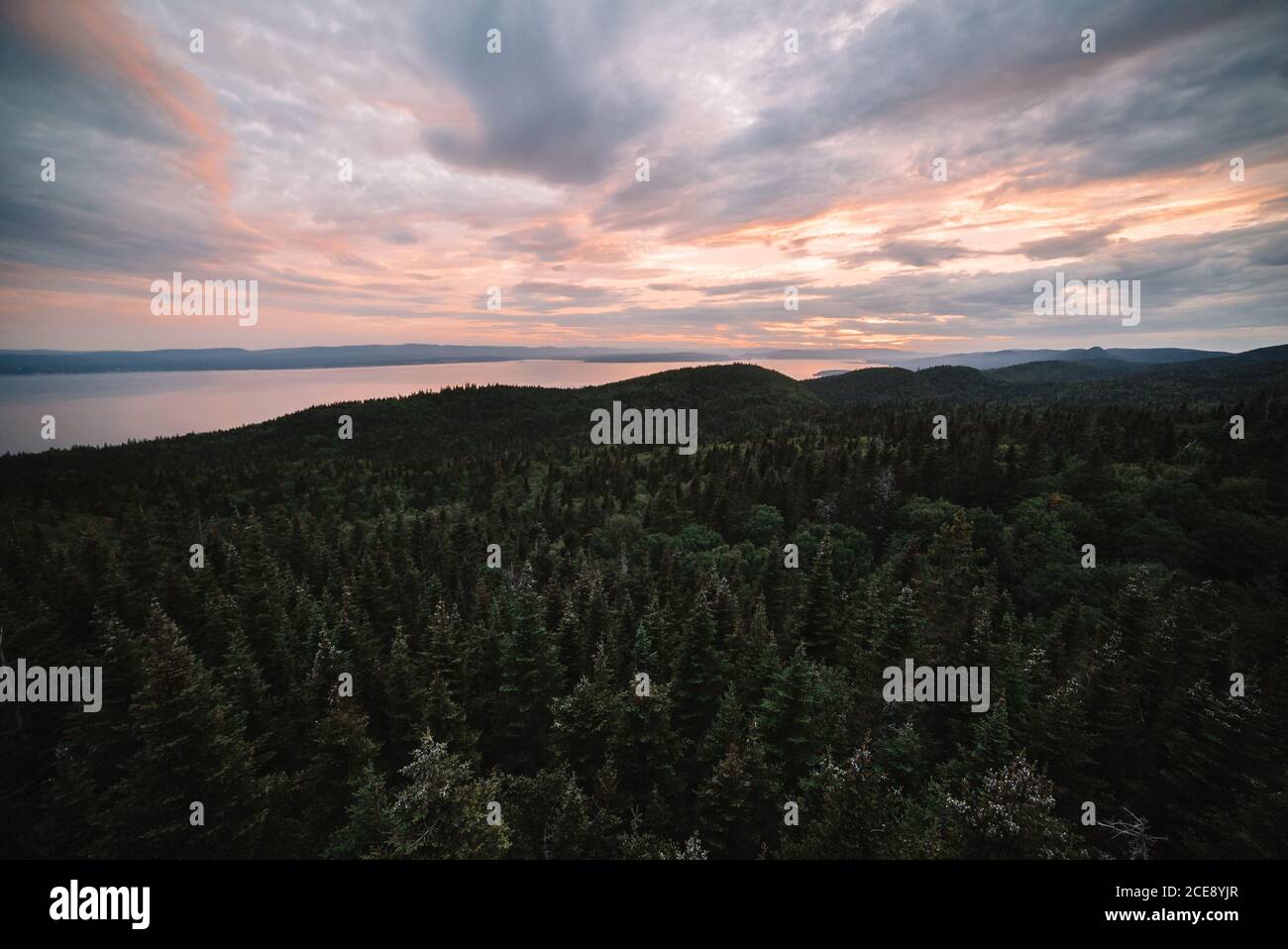 Von oben mit immergrünen Wäldern in endloser Landschaft bedeckt La Mauricie Nationalpark Stockfoto