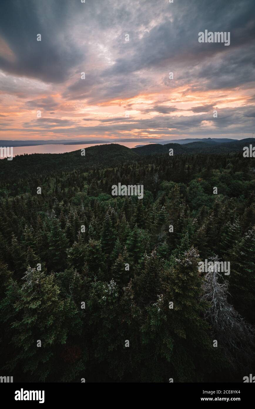 Von oben mit immergrünen Wäldern in endloser Landschaft bedeckt La Mauricie Nationalpark Stockfoto