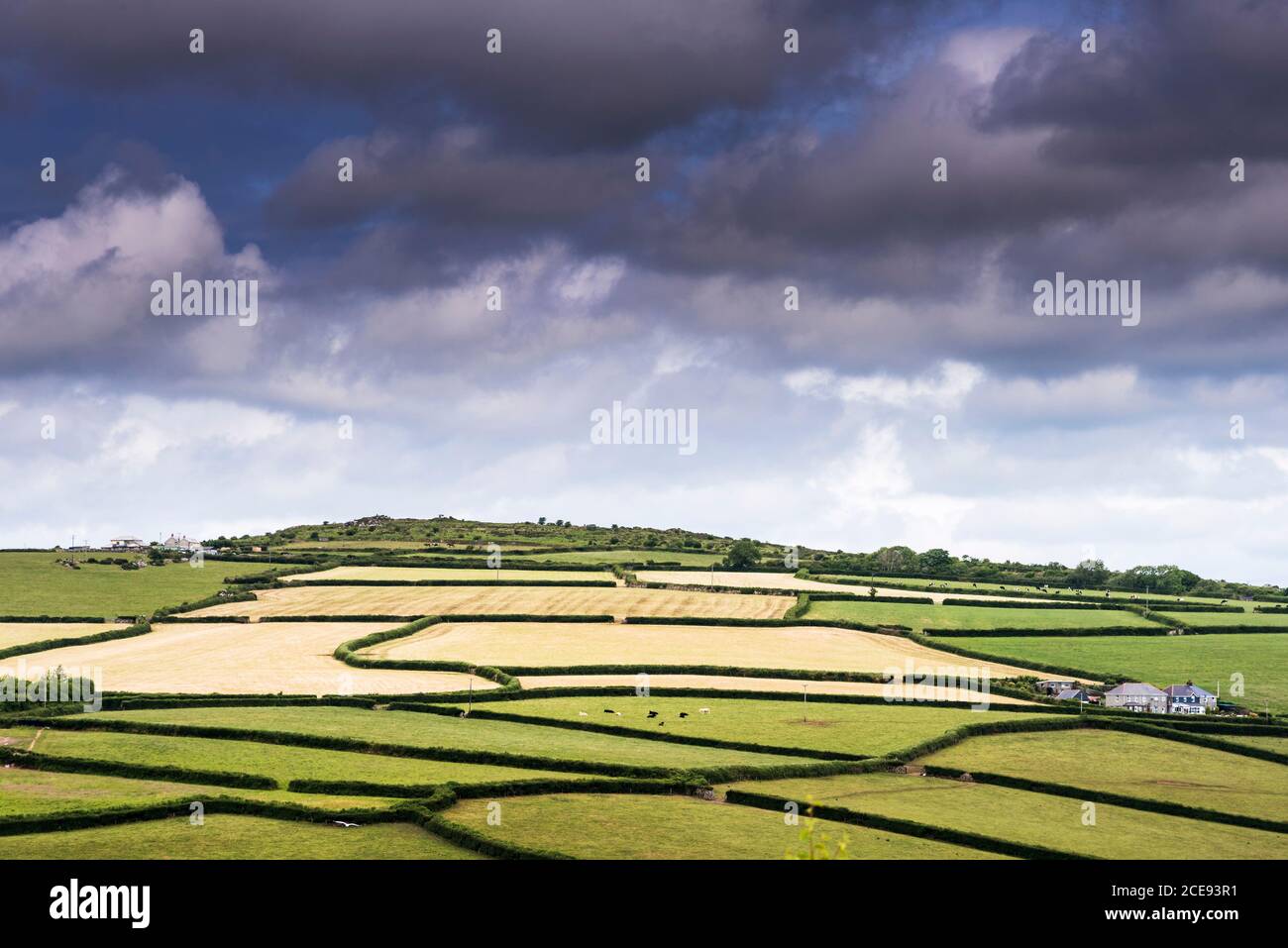 Ein Flickenteppich von Feldern auf Ackerland in Cornwall. Stockfoto