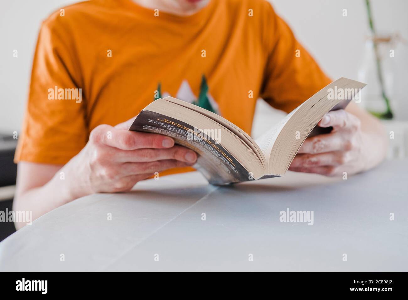 Ein Mann, der zu Hause einen Roman liest. Stockfoto