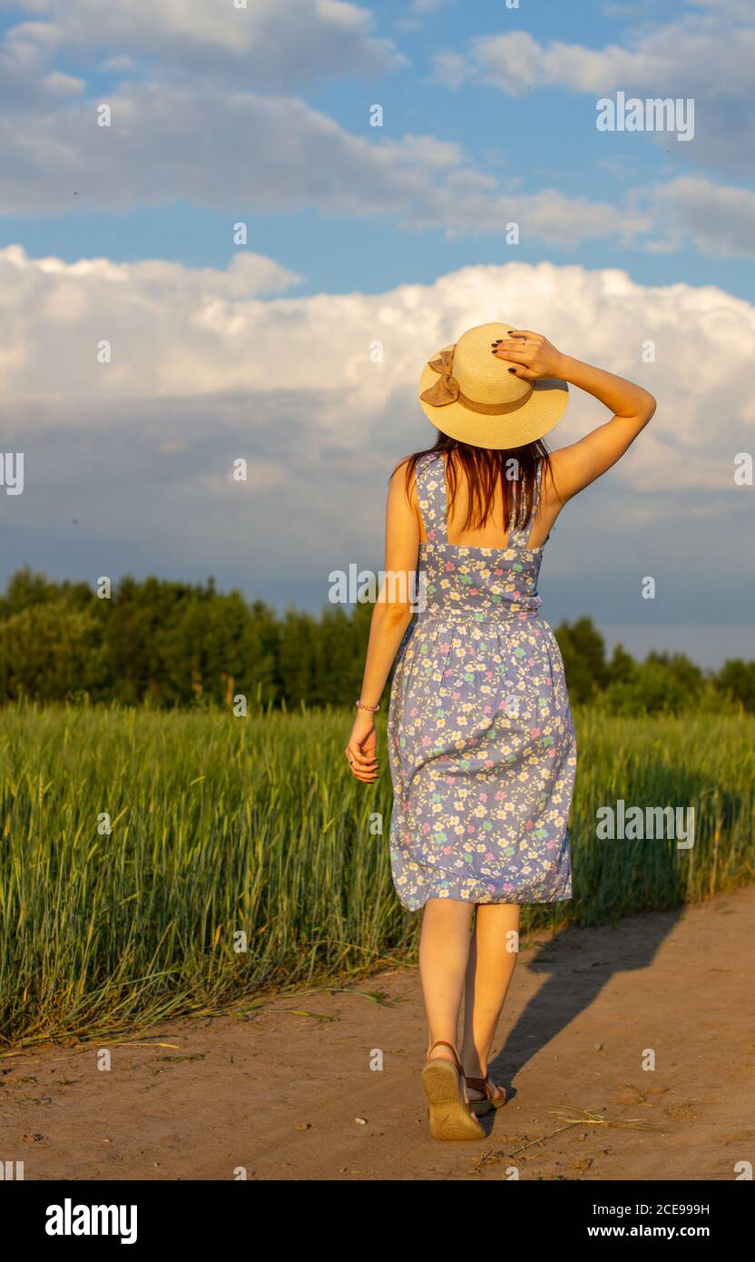 Ein Mädchen geht im Sommer auf einem Feld, wo Roggen oder Weizen wächst. Sie hält einen Hut in ihren Händen. 1 Stockfoto