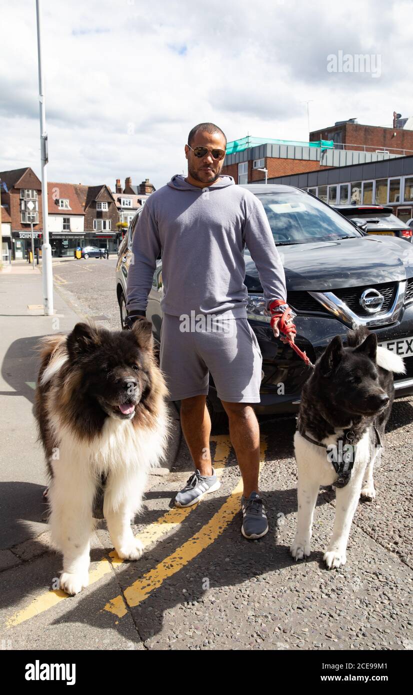 Sevenoaks, Kent, Großbritannien. August 2020. Ein Mann steht mit zwei amerikanischen Akita-Hunden, während die Menschen das Beste aus dem letzten Bankfeiertag in diesem Jahr und dem letzten Tag der Regierung essen, um zu helfen aus Schema machen. Es gab Schlangen vor Costa und Wagamama Restaurants in Sevenoaks, Kent. Das Wetter verbesserte sich leicht vom nassen Wochenende mit sonnigem und bewölktem Himmel und einem hoch von 16C. Kredit: Keith Larby/Alamy Live Nachrichten Stockfoto