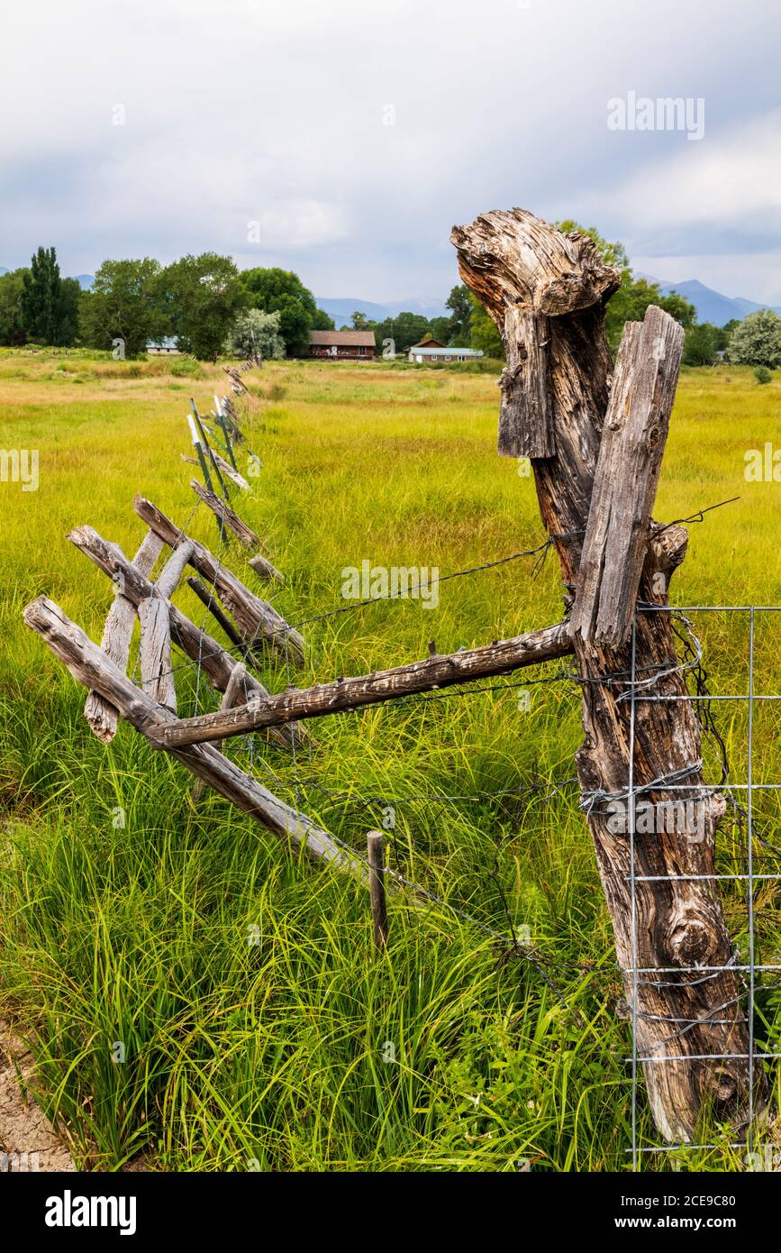 Stacheldrahtzaun; weiden; Vandaveer Ranch; Salida, Colorado, USA Stockfoto