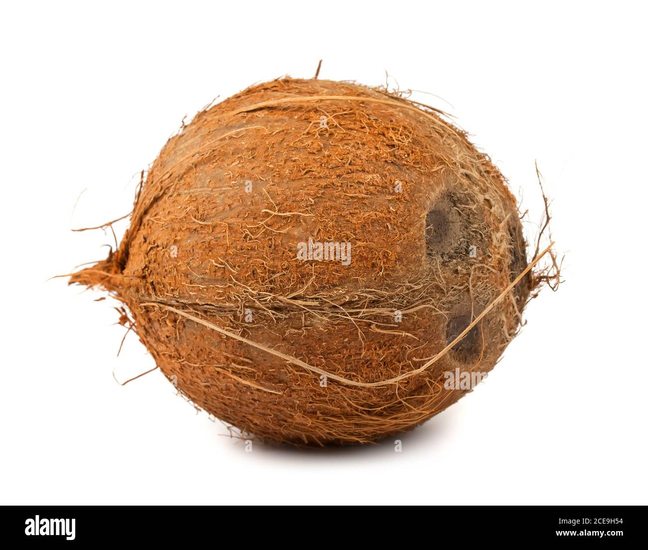 Braune Kokosnuss Stockfoto