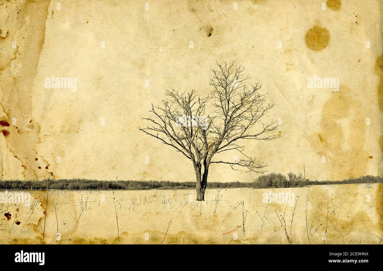 Grunge Hintergrund Stockfoto