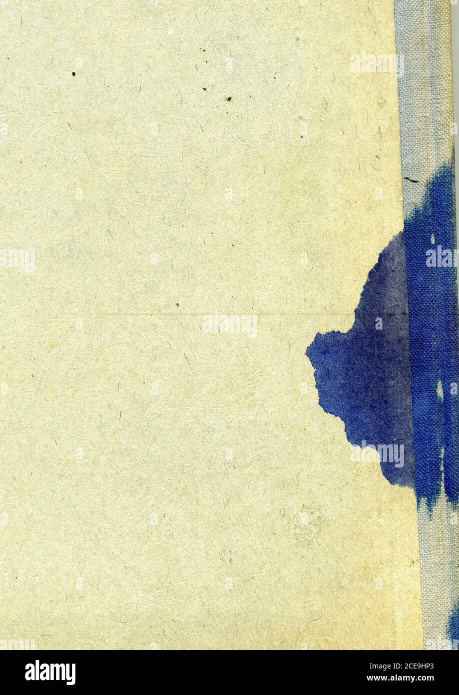 Seite des alten Buches Stockfoto